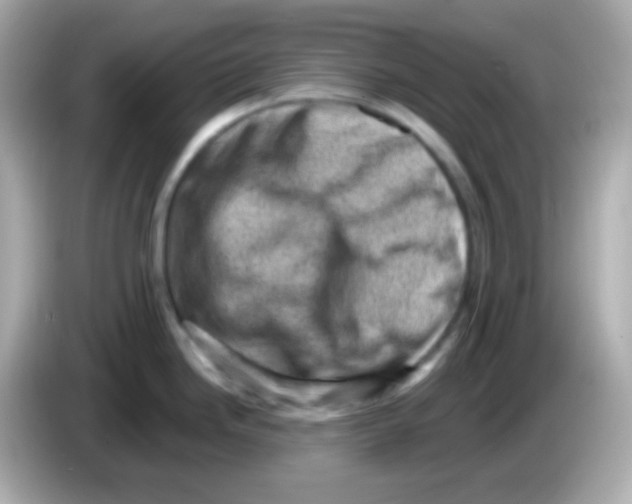 X0000085801246200704091443