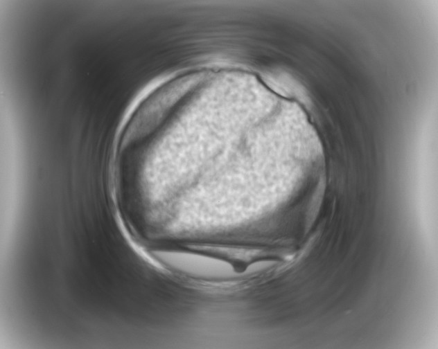 X0000085801247200704091443