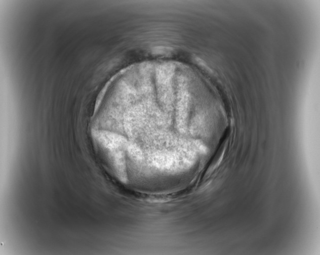 X0000085801249200704091442