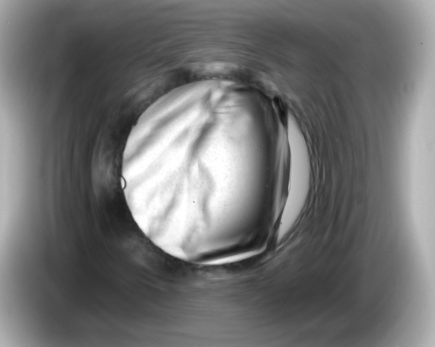 X0000085801250200704091442