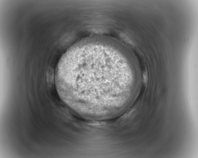 X0000085801251200704091442