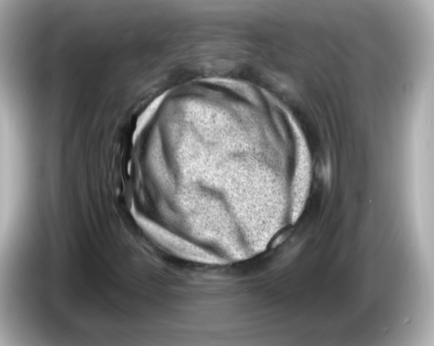 X0000085801252200704091442