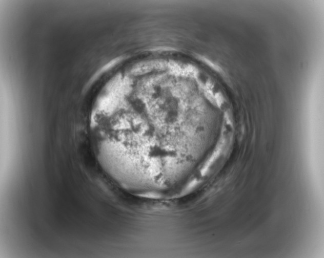 X0000085801255200704091442