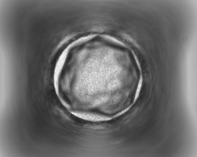 X0000085801256200704091442