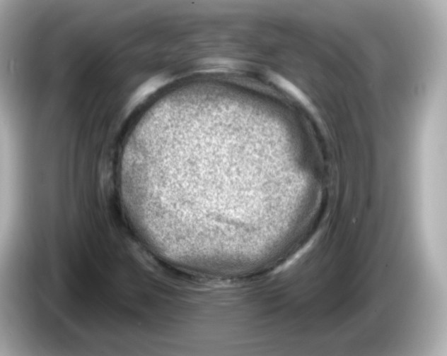 X0000085801259200704091442