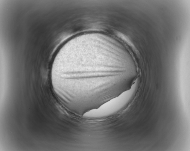 X0000085801260200704091442