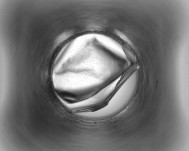 X0000085801261200704091442