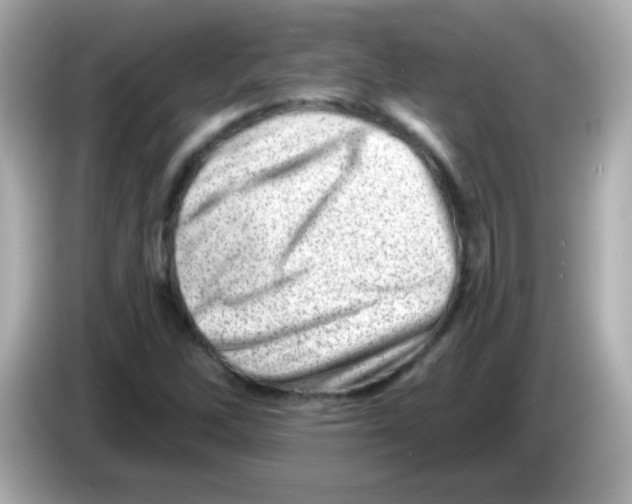 X0000085801262200704091442