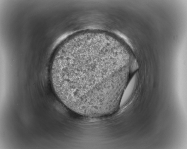 X0000085801263200704091442