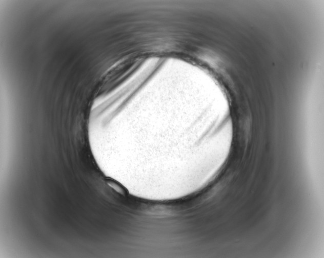 X0000085801265200704091442