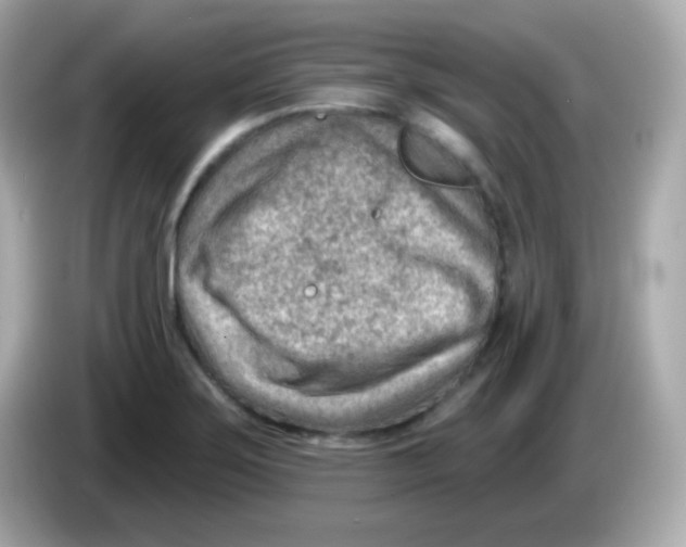 X0000085801275200704091442