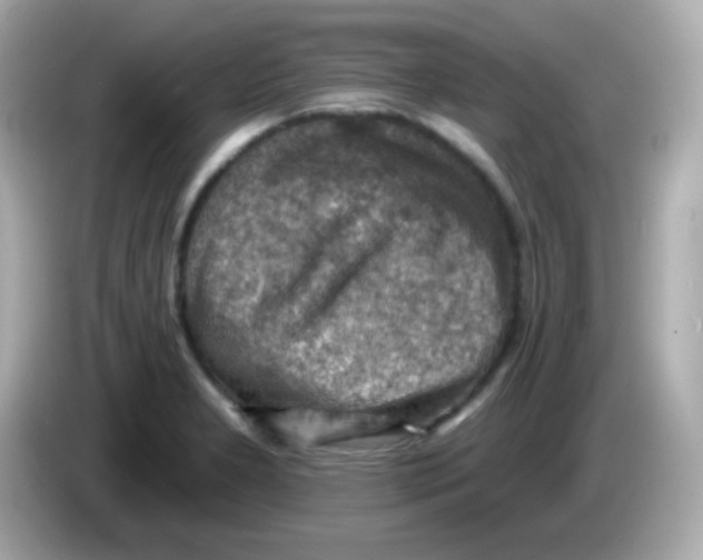 X0000085801277200704091442