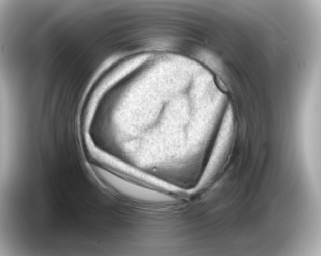 X0000085801283200704091442