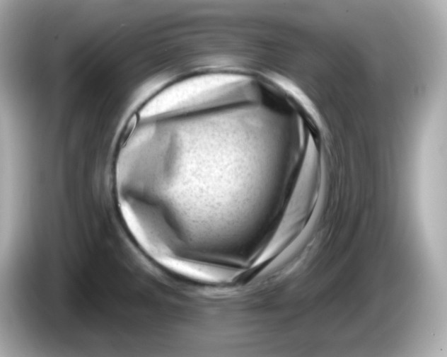 X0000085801285200704091442