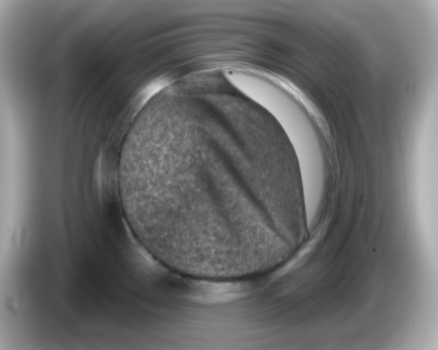 X0000085801289200704091442