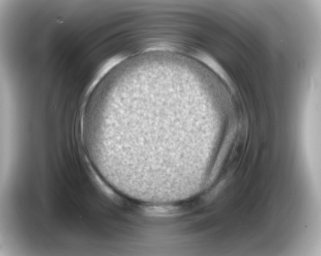 X0000085801290200704091442