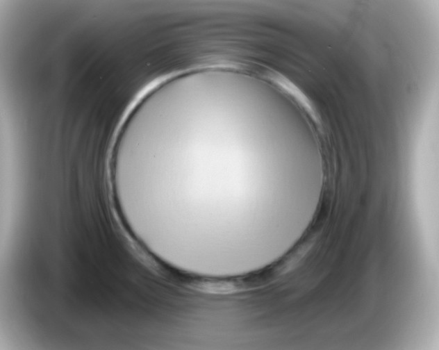 X0000085801291200704091442