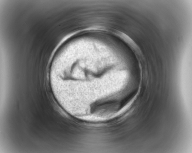 X0000085801292200704091442