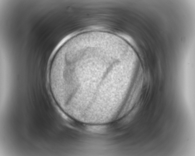 X0000085801294200704091442