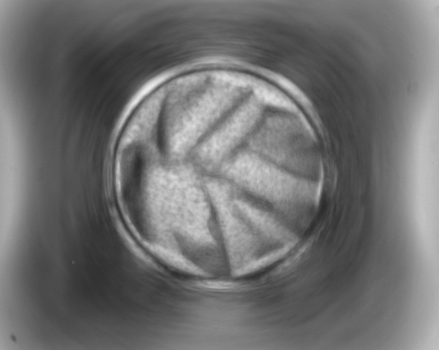 X0000085801295200704091442