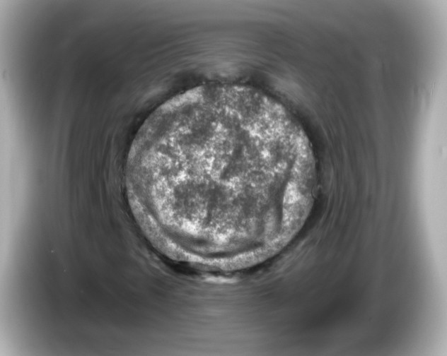 X0000085801297200704091441