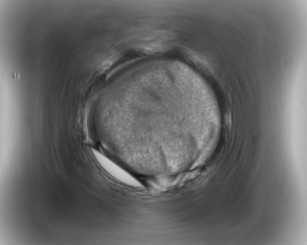 X0000085801300200704091441