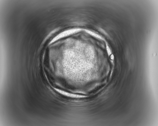 X0000085801307200704091441