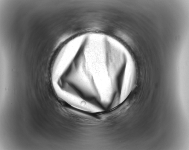 X0000085801308200704091441