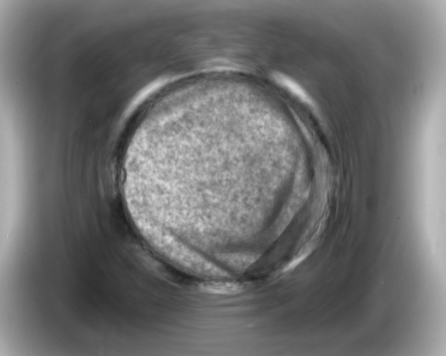 X0000085801310200704091441