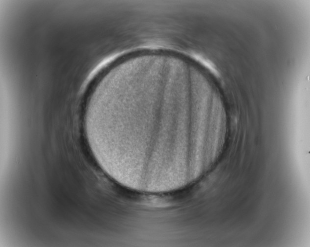 X0000085801311200704091441