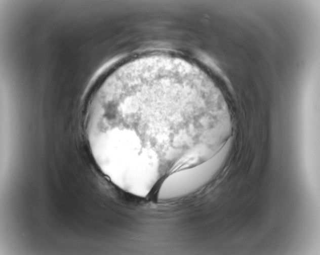 X0000085801312200704091441