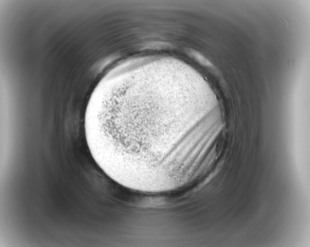 X0000085801313200704091441