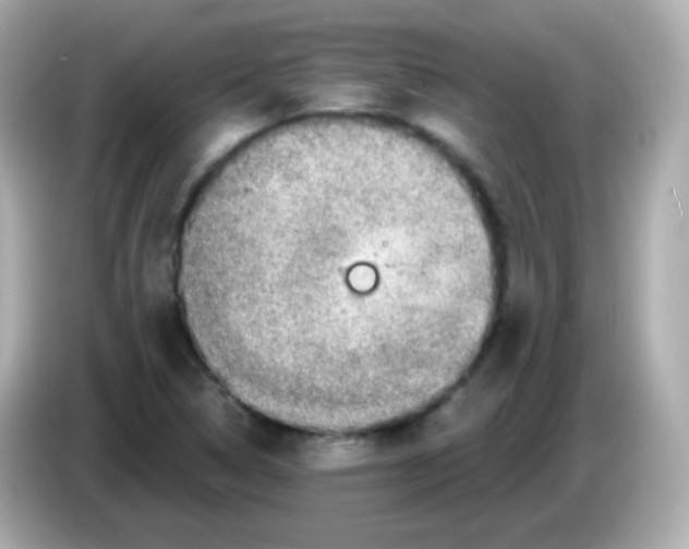 X0000085801314200704091441