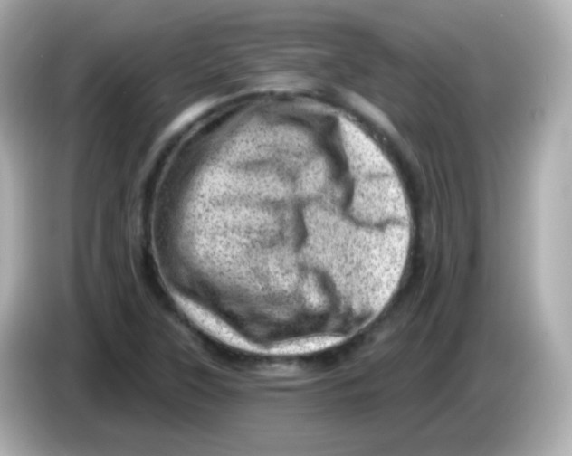 X0000085801315200704091441