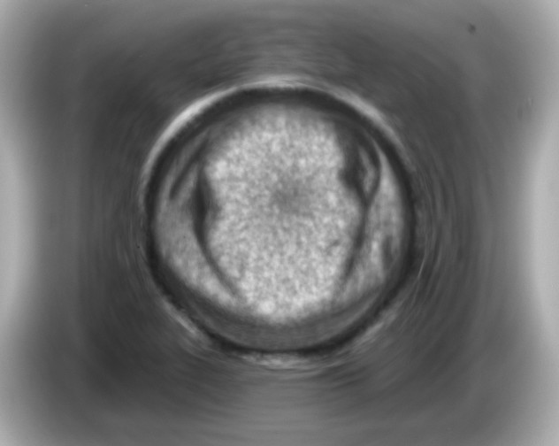 X0000085801319200704091441