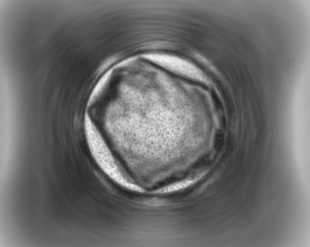 X0000085801321200704091441