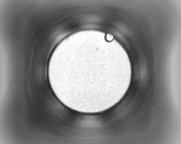 X0000085801322200704091441