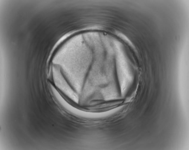 X0000085801324200704091442