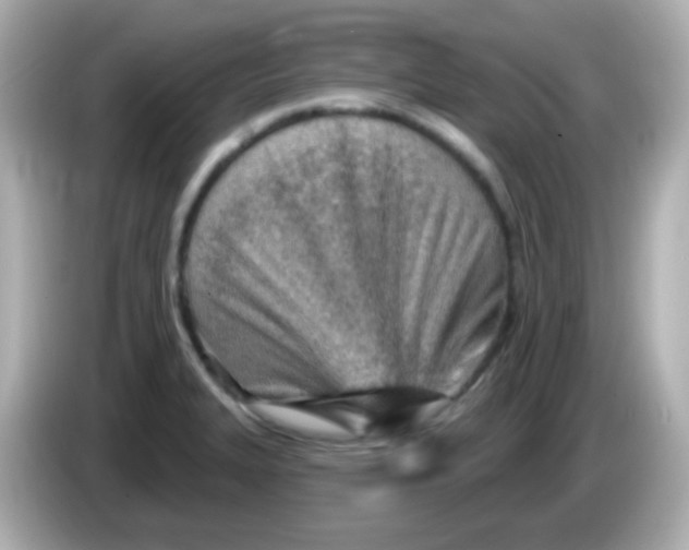 X0000085801327200704091442