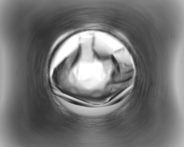 X0000085801328200704091442