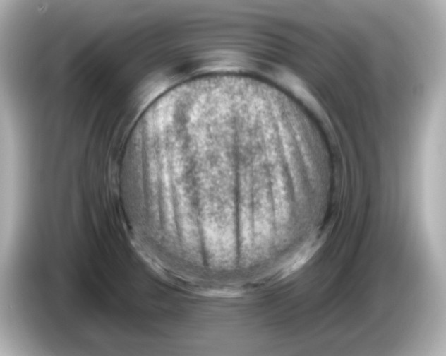 X0000085801329200704091442