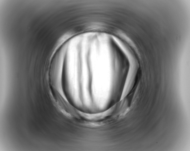 X0000085801330200704091442