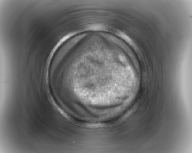 X0000085801331200704091442