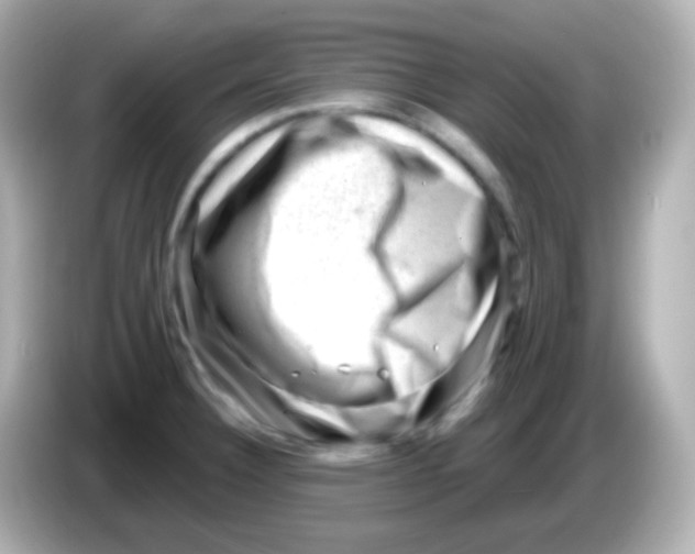 X0000085801332200704091442