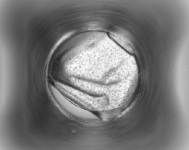 X0000085801333200704091442