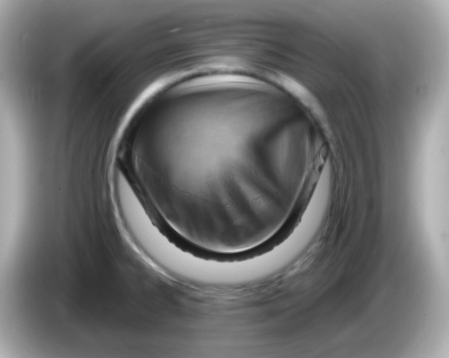 X0000085801334200704091442