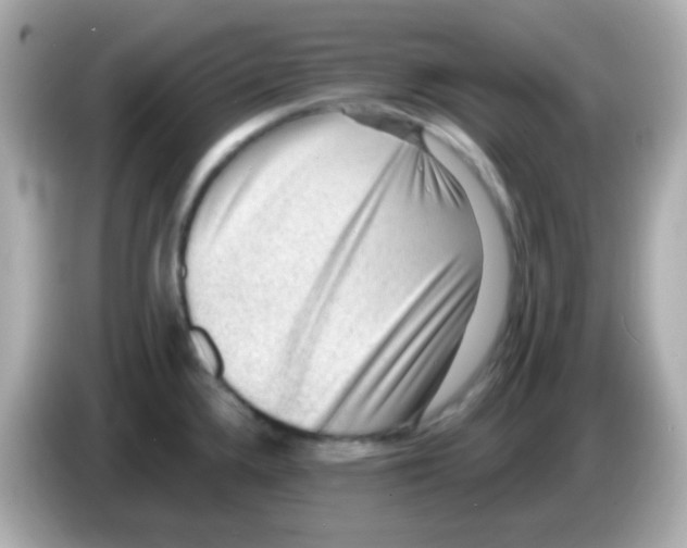 X0000085801336200704091442