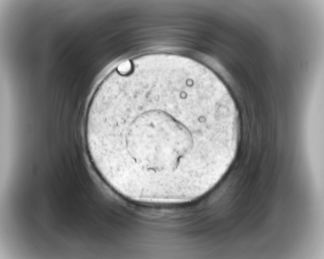 X0000085801338200704091442