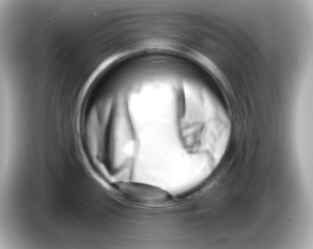 X0000085801339200704091442