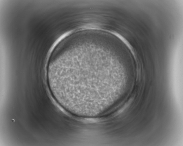 X0000085801341200704091442